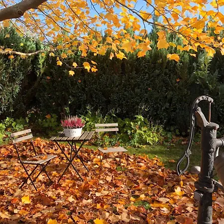 Haus Zur Niendorfer Sonne Haus Schwalbennest Lägenhet